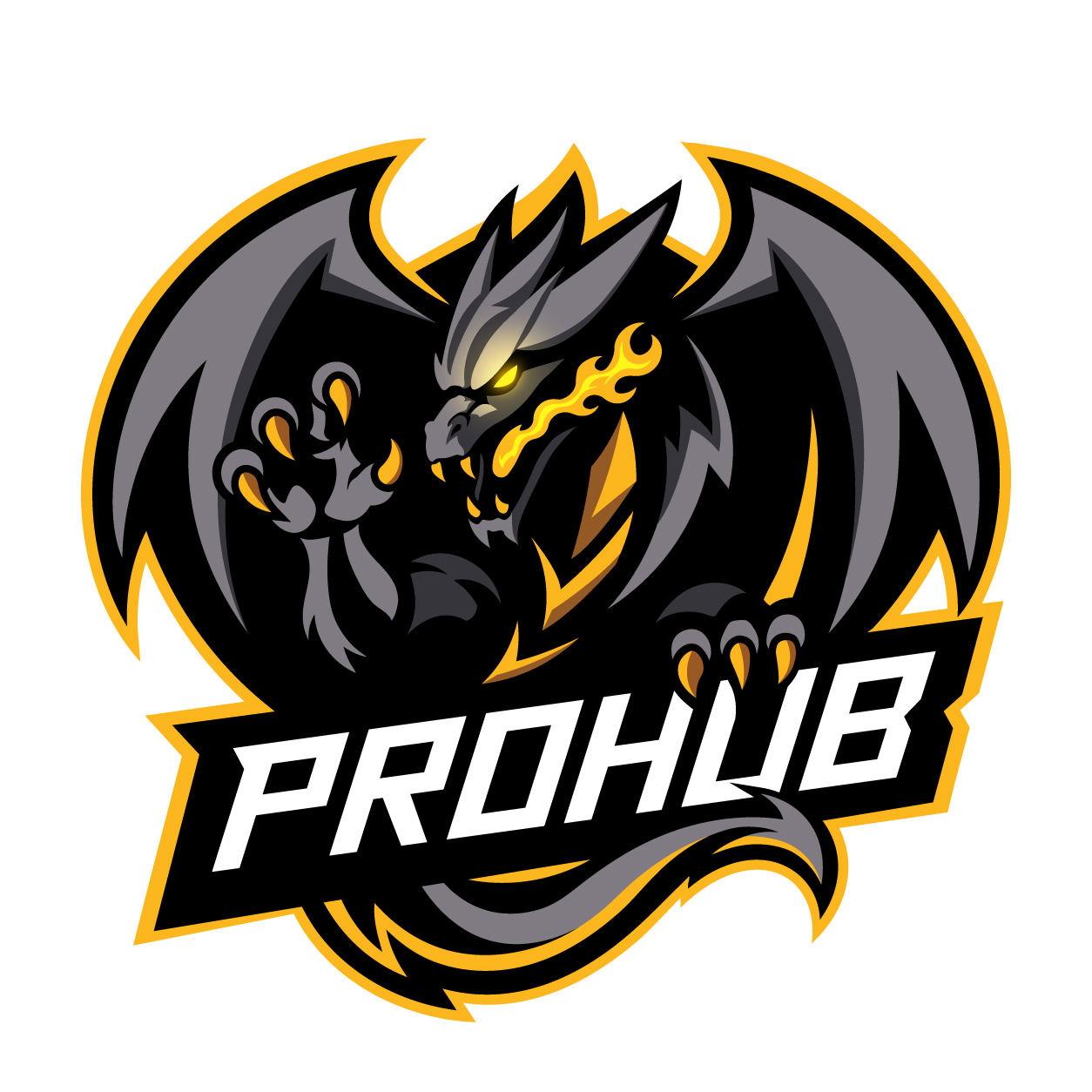 Prohub
